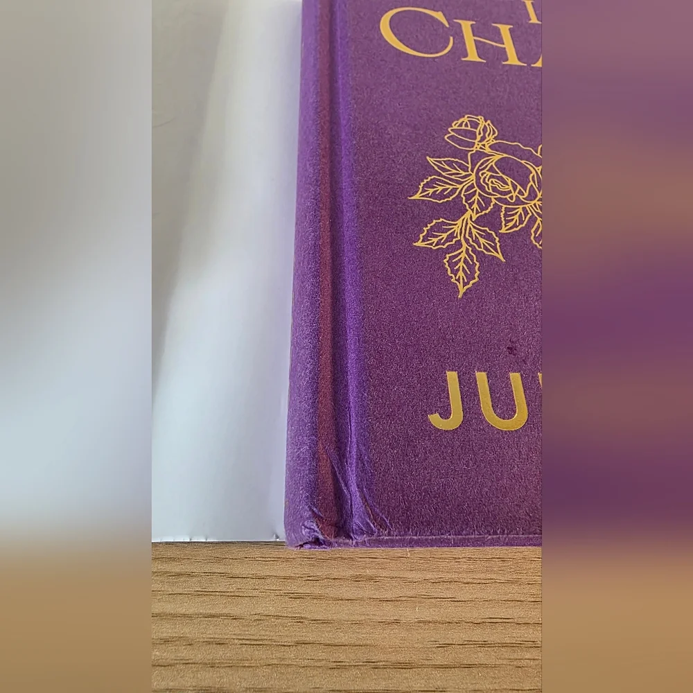 HAND SIGNED! Rose in Chains Delux Edition  by Julie Soto - Picture 6 of 6